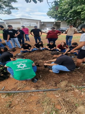 PLANTIO DE MUDAS 2025 4