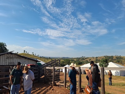 DIA CAMPO SENAR 2025 2