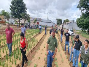 aula pratica agron 2026 1 MARISCOUT 11